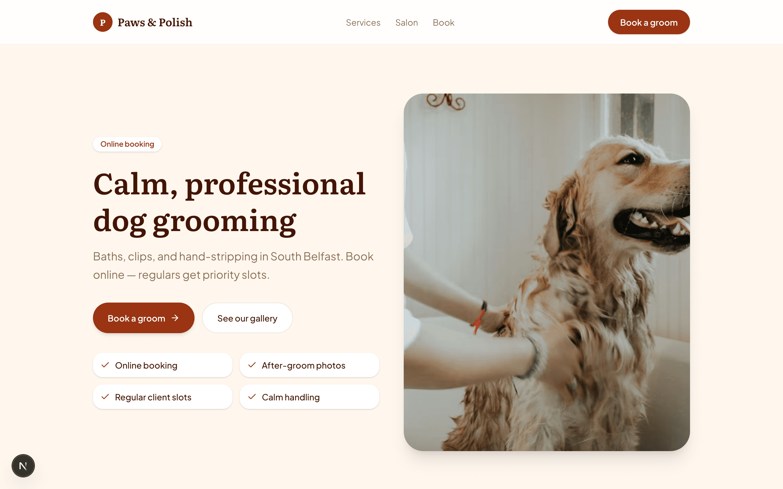 Paws & Polish homepage preview